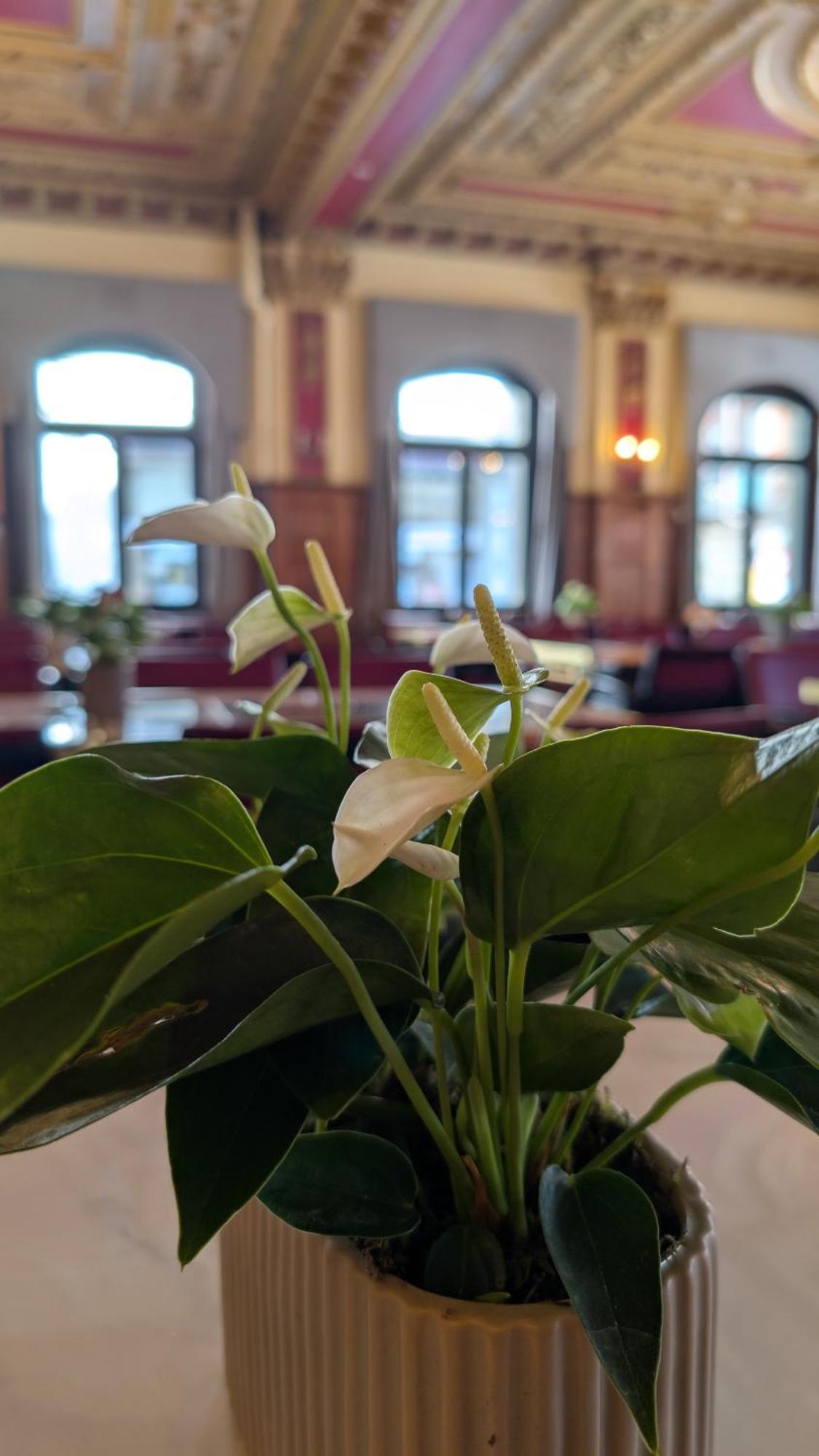 Hotel Harder Minerva Interlaken Luaran gambar