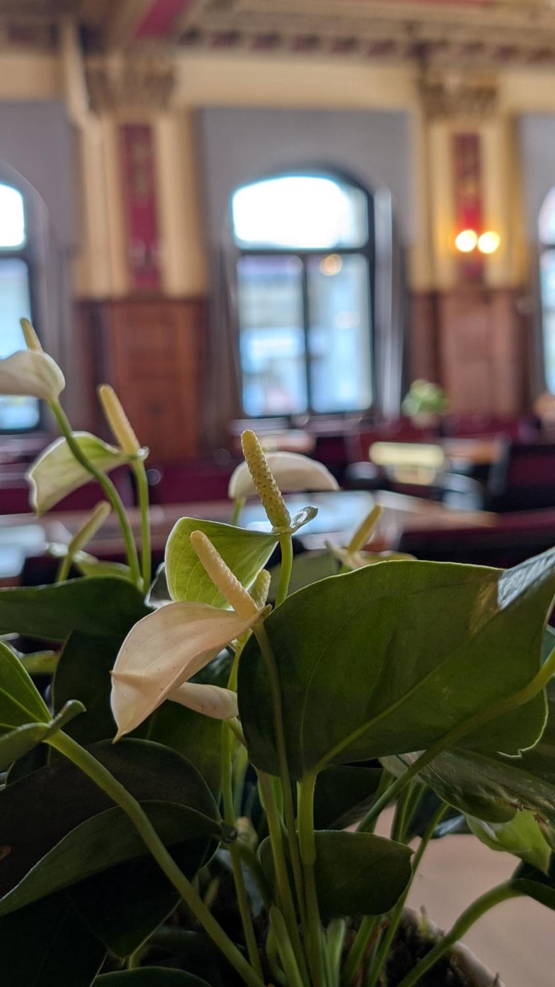 Hotel Harder Minerva Interlaken Luaran gambar